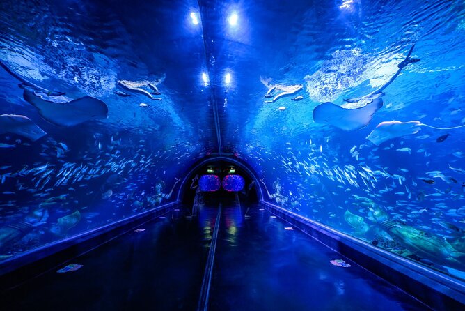 Aquarium Phuket and AR Trick Eye Museum Combo Tickets - Key points to know before booking