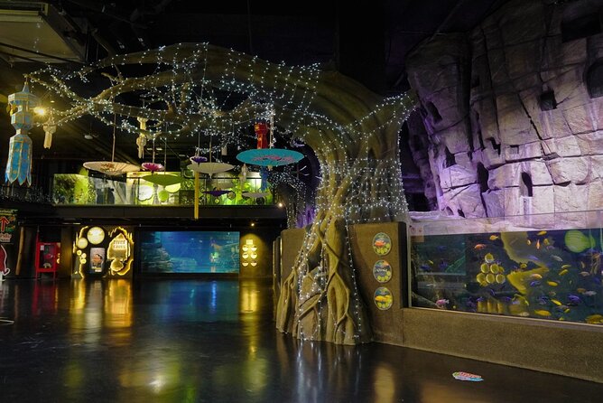Aquarium Phuket and AR Trick Eye Museum Combo Tickets - Allow 1 hour 45 minutes for the aquarium