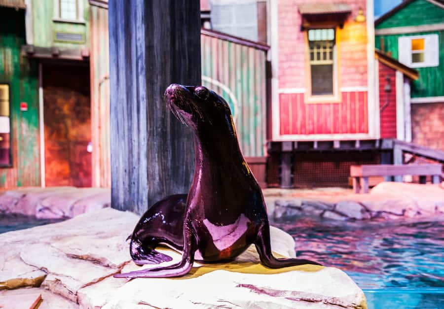 Atlanta: Georgia Aquarium Skip-the-Box-Office Entry Ticket - A smart visit takes two to three hours