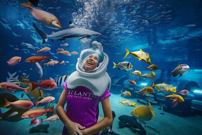 Atlantis Aquaventure and Lost Chambers Aquarium combo Ticket - Why the same-day pairing works