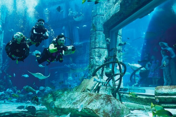 Atlantis Aquaventure and Lost Chambers Aquarium combo Ticket - Practical details that affect your decision