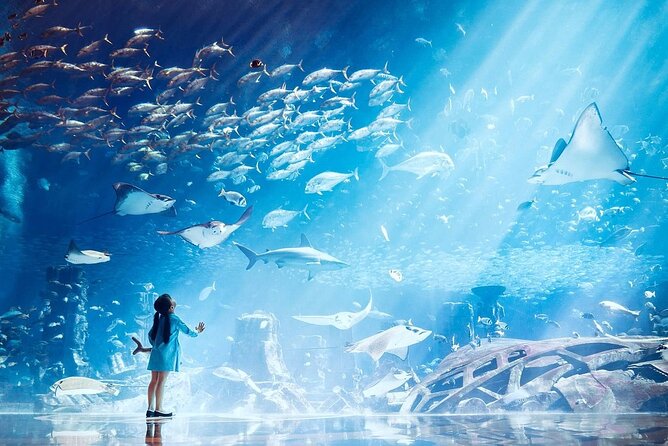 Atlantis Lost-Chamber Aquarium Dubai - Following the route through the lost city