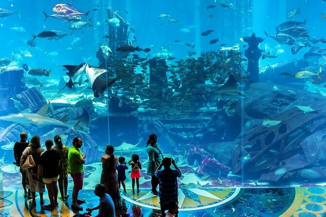 Atlantis Lost-Chamber Aquarium Dubai - What the aquarium does well
