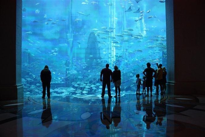 Atlantis Lost-Chamber Aquarium Dubai - Transport and planning your time
