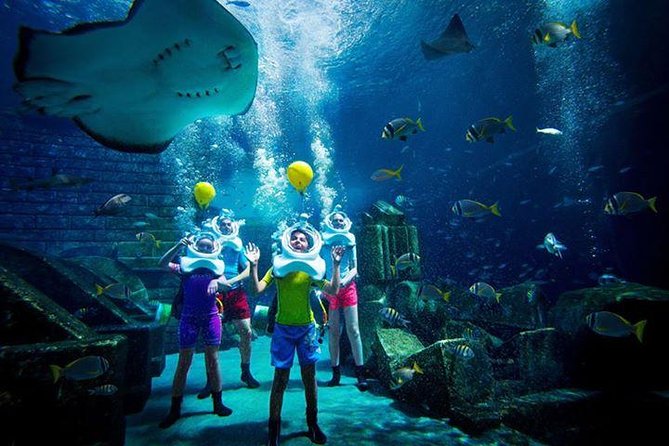 Atlantis Lost-Chamber Aquarium Dubai - Who will enjoy this most