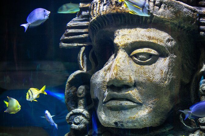 Audubon Aquarium and Insectarium Ticket - Why the Insectarium deserves equal time