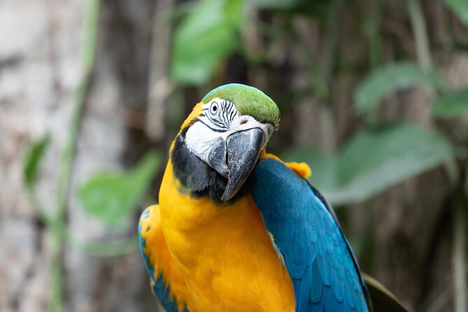 Audubon Aquarium and Insectarium Ticket - Access, walking, and comfort