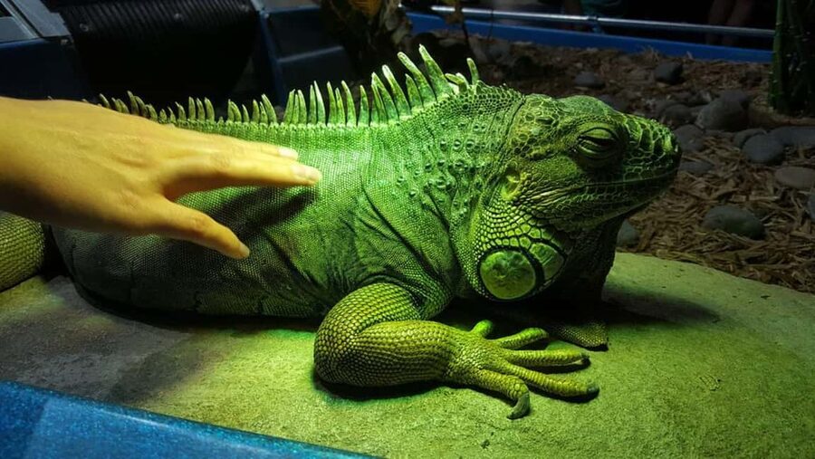 Austin Aquarium Entry Ticket - Who will enjoy Austin Aquarium most?