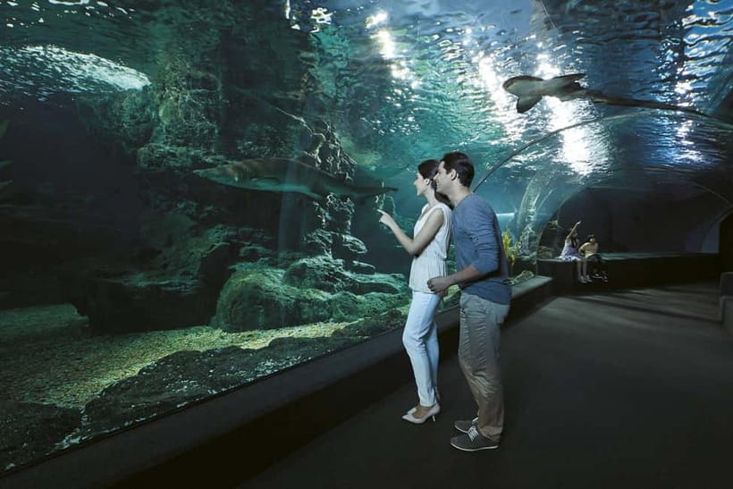 Bangkok: SEA LIFE Bangkok & Madame Tussauds Entry Ticket - Key points to know before you go