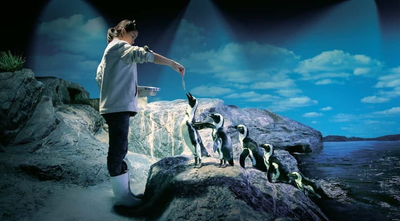 Bangkok: SEA LIFE Bangkok Ocean World Entry Ticket - Coral Reef brings color and motion