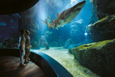 Bangkok: SEA LIFE Bangkok Ocean World Entry Ticket