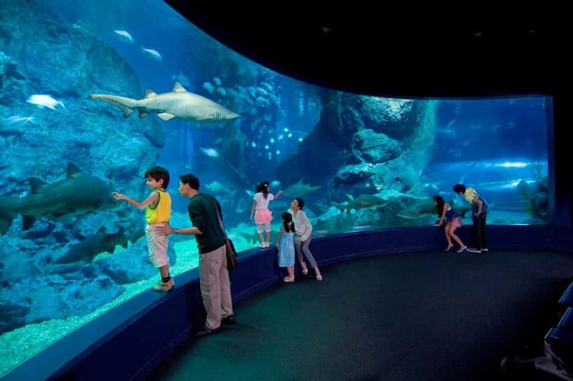 Bangkok: SEA LIFE Bangkok Ocean World Entry Ticket - Touch pools, 4D cinema, and optional extras