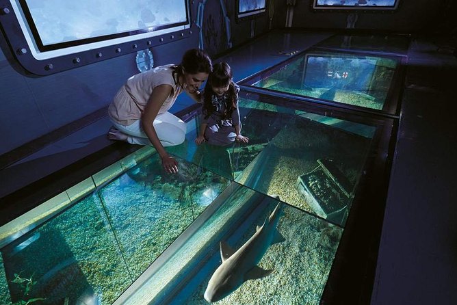 Bangkok SEA LIFE & Madame Tussauds Combo with Hotel Transfers - The 4D movie is an optional extra, not the main event