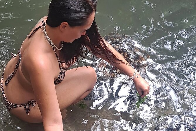 Baraka Aquarium and Dolphin Sightseeing with Sunset Cruise - A full Zanzibar day built around water