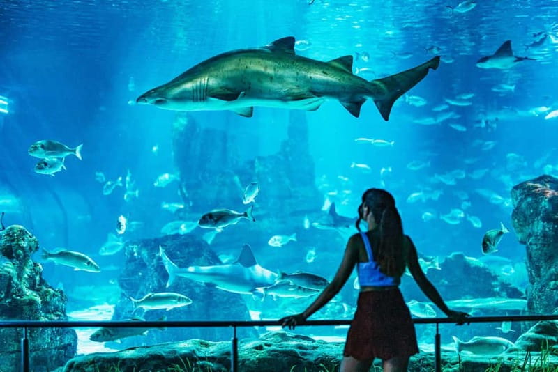 Barcelona Aquarium: Entry Ticket - Should you book the Barcelona Aquarium?