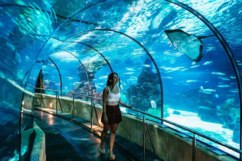 Barcelona Aquarium: Entry Ticket - The Oceanarium is the reason to come