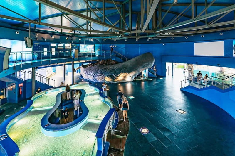 Barcelona Aquarium: Entry Ticket - How long to stay and when to visit