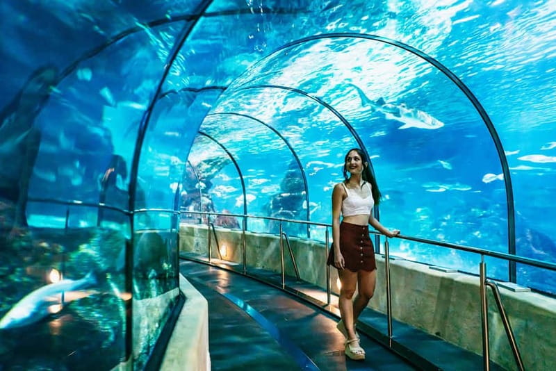 Barcelona Aquarium: Entry Ticket - Is $34 a fair price?