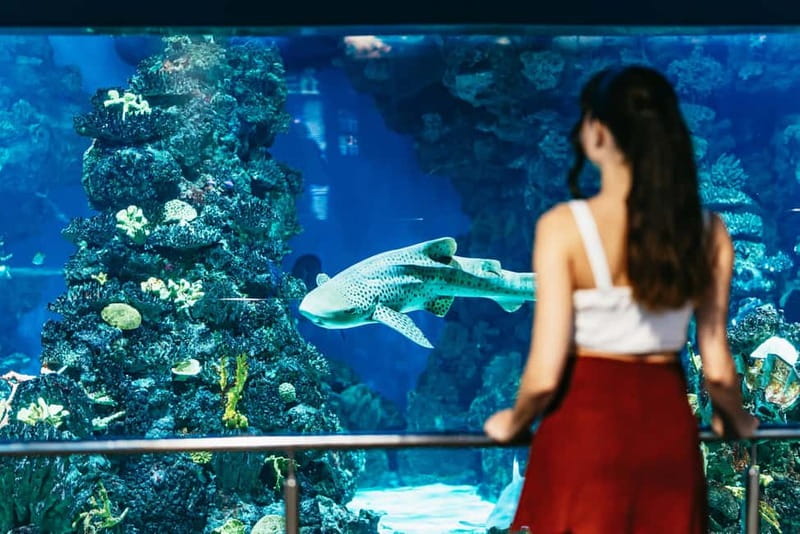 Barcelona Aquarium: Entry Ticket - A practical route through the building
