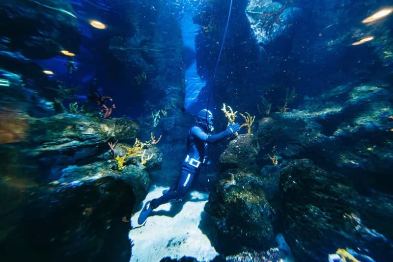 Barcelona Aquarium: Entry Ticket - Who will enjoy Barcelona Aquarium most?