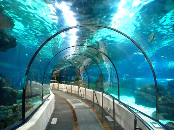 Barcelona Aquarium Skip the Line Ticket - What the Barcelona Aquarium Ticket Really Gets You