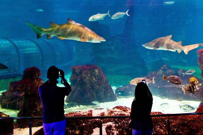 Barcelona Aquarium Skip the Line Ticket - Feeding Sessions Can Improve the Timing