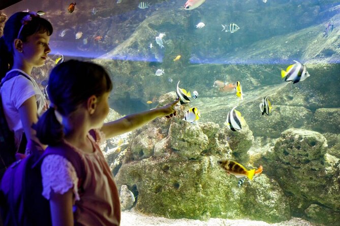 Barcelona City Tour Hop-On Hop-Off and Aquarium - Who will get the most from this tour