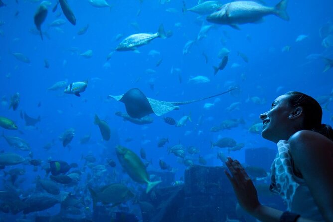 Barcelona City Tour Hop-On Hop-Off and Aquarium - Choosing between staying aboard and hopping off