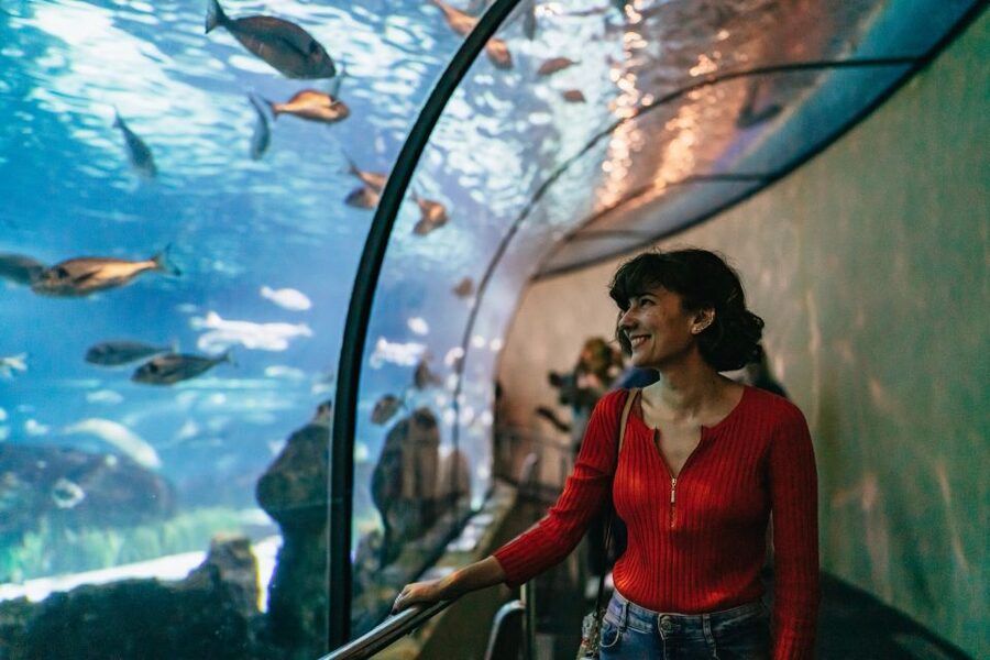 Barcelona: Hop-On Hop-Off Bus & Aquarium Tour - Key points to know before you book