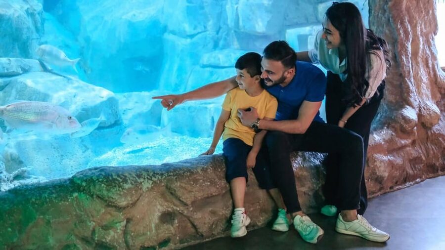 Barcelona: Hop-On Hop-Off Bus & Aquarium Tour - The green East route, from Barceloneta to Park Güell