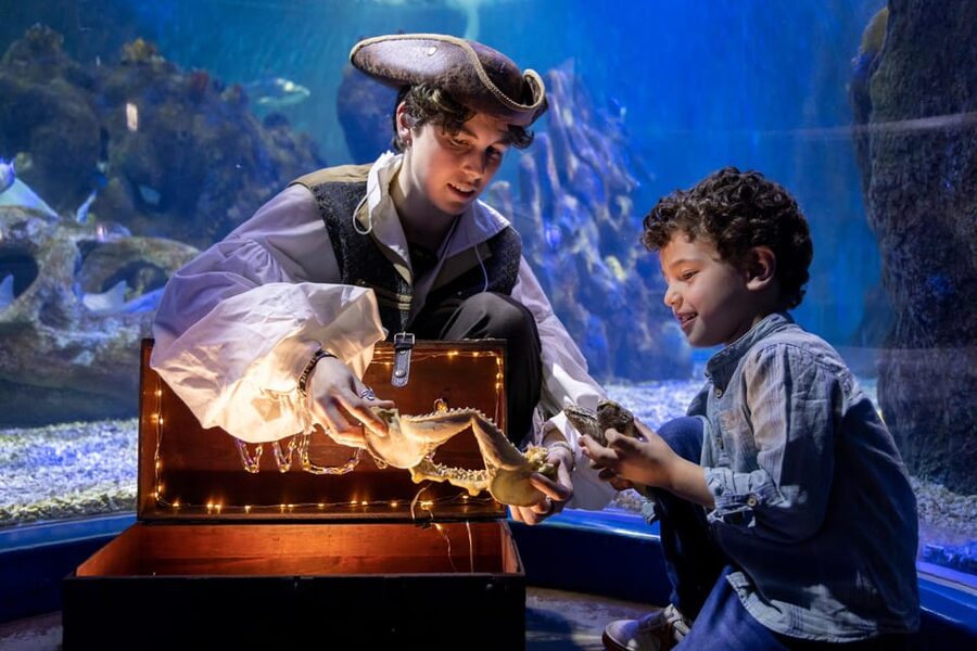 Benalmadena Aquarium Visit - Key points at a glance