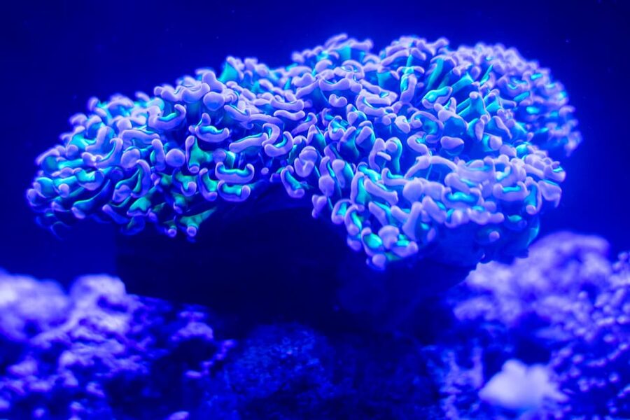 Benalmadena Aquarium Visit - The bio-beach and hands-on learning