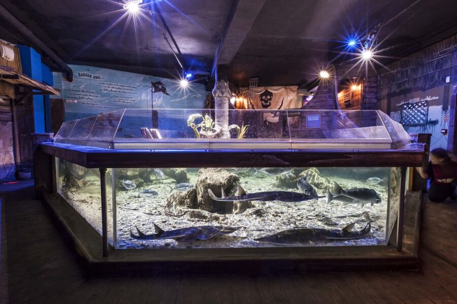 Benalmádena: Sea Life Benalmádena Premium Entry Ticket - Marine Habitats Beyond the Main Tunnel