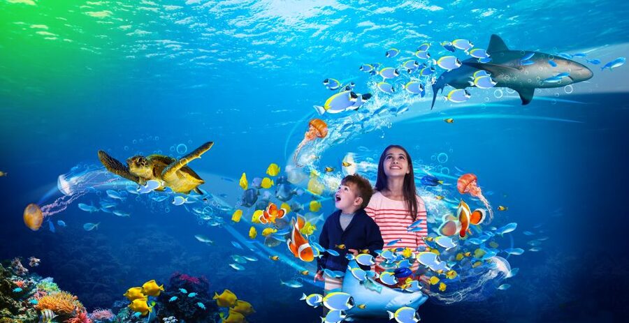 Benalmádena: Sea Life Benalmádena Premium Entry Ticket - Using the Gold Pass Around Puerto Marina