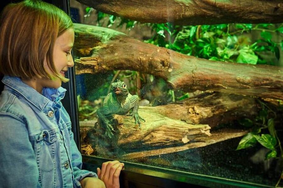 Bergen: Bergen Aquarium Entry Ticket - Daily feedings and short films