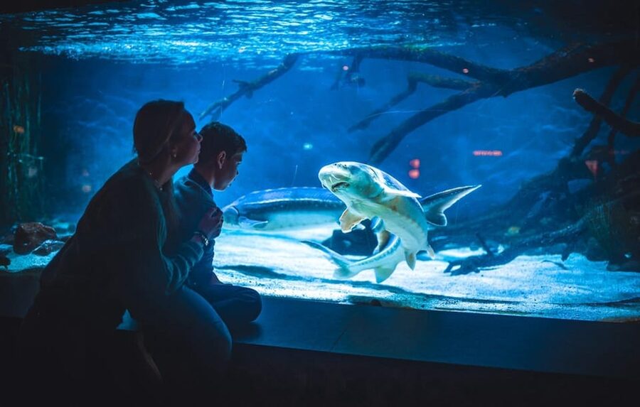 Bergen: Bergen Aquarium Entry Ticket - Starting with the sea and Norwegian coast