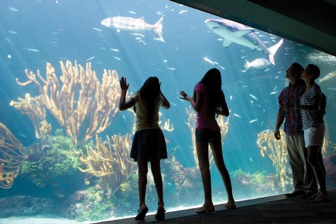Bermuda Aquarium and Crystal Caves Admission - Is $159 a fair price?