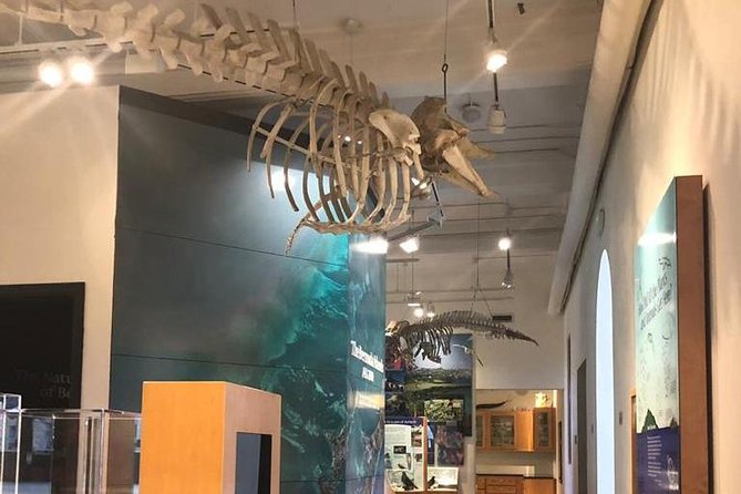 Bermuda Aquarium and Crystal Caves Admission - Should you book it?