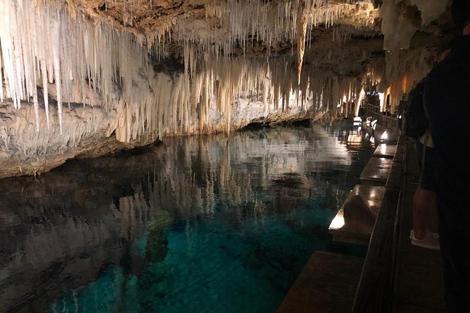 Bermuda Aquarium and Crystal Caves Admission - The aquarium, museum, and zoo provide a broad first stop