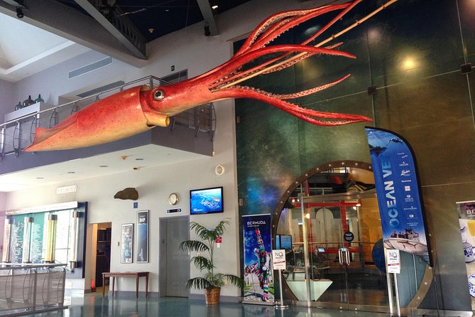 Bermuda Underwater Exploration Institute and Aquarium Adventure Day - Two sides of Bermuda’s relationship with the sea