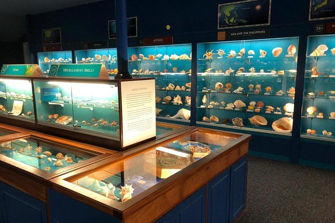 Bermuda Underwater Exploration Institute and Aquarium Adventure Day - The experience’s strengths and limits