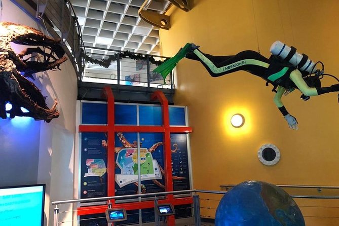 Bermuda Underwater Exploration Institute and Aquarium Adventure Day - Should you book the Bermuda marine-life outing?