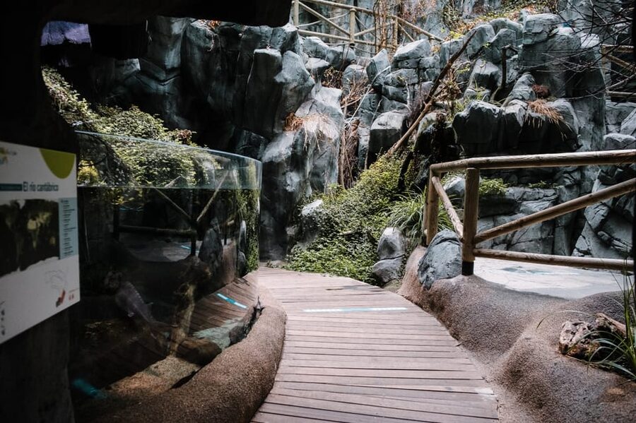 Bioparc Aquarium of Gijon Entry Ticket - Why the Conservation Message Matters