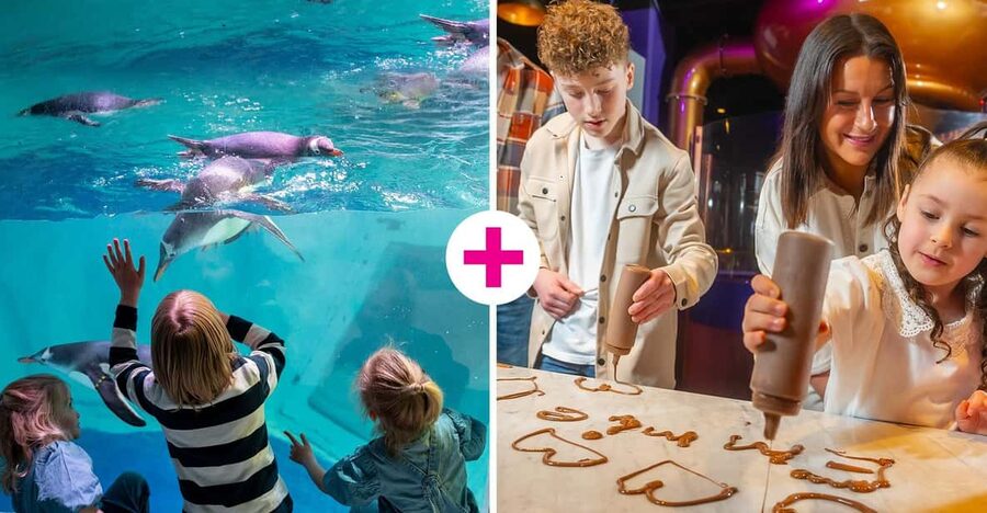 Birmingham: Cadbury World & SEA LIFE Birmingham - The two attractions work best as separate blocks
