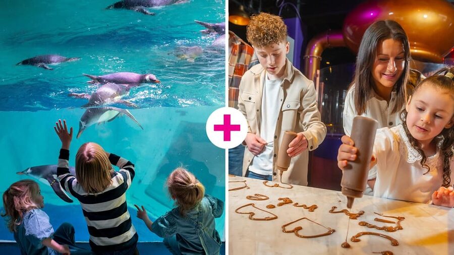 Birmingham: Cadbury World & SEA LIFE Birmingham - Allow time around the main Cadbury World entry