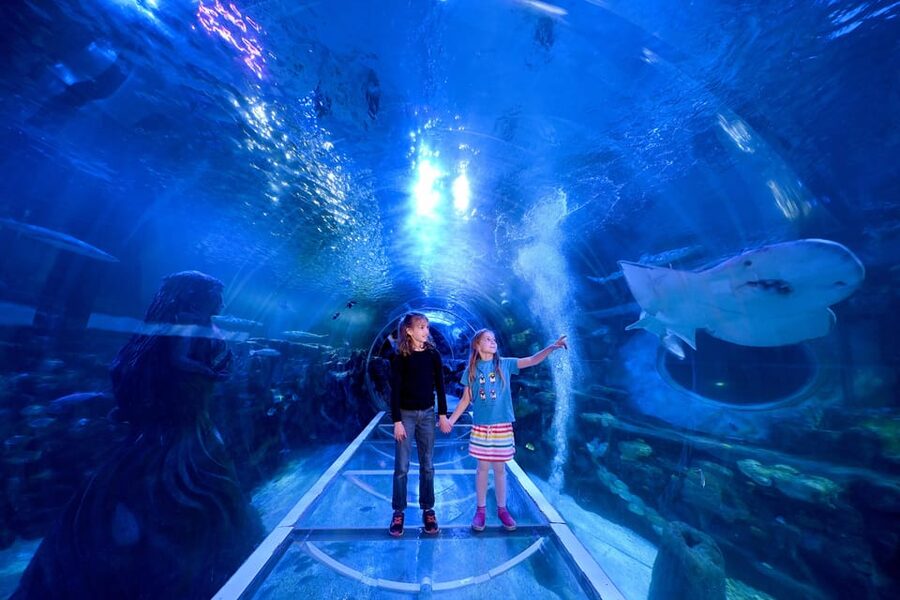 Birmingham: Cadbury World + SEA LIFE + LEGOLAND Discovery - Three Birmingham attractions in one family plan