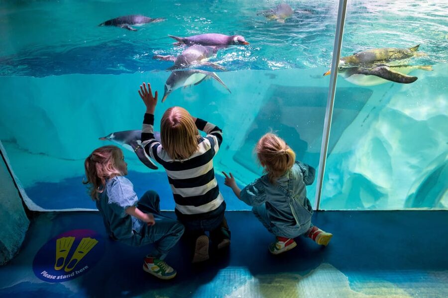 Birmingham: Cadbury World + SEA LIFE + LEGOLAND Discovery - How to plan the three stops without rushing