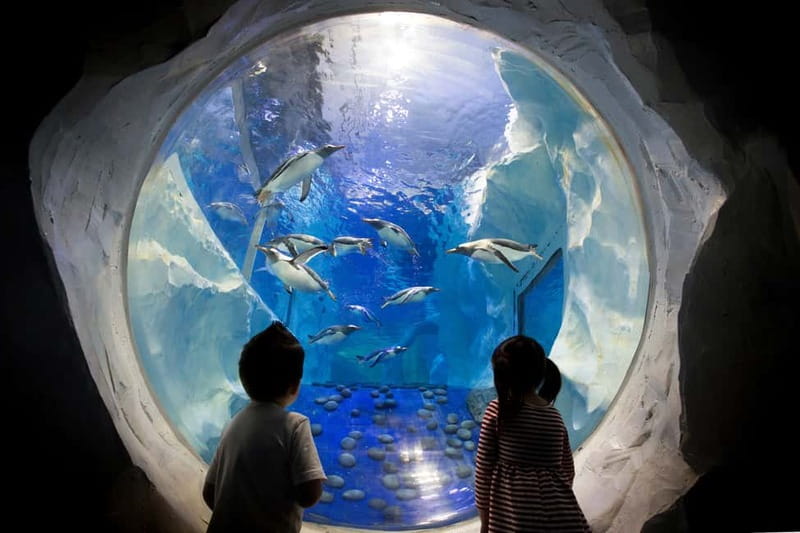 Birmingham: National Sea Life Centre Entrance Ticket - Practical planning at Brindleyplace