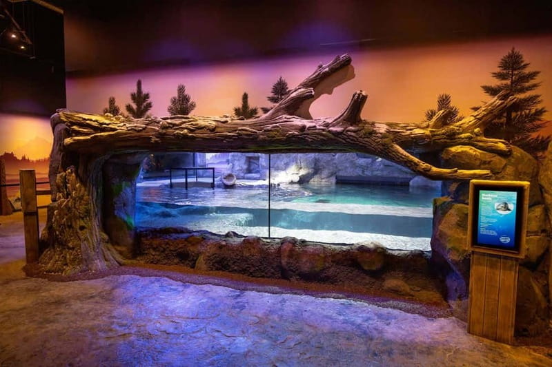 Birmingham: National Sea Life Centre Entrance Ticket - Penguin Ice Adventure starts the visit on a playful note