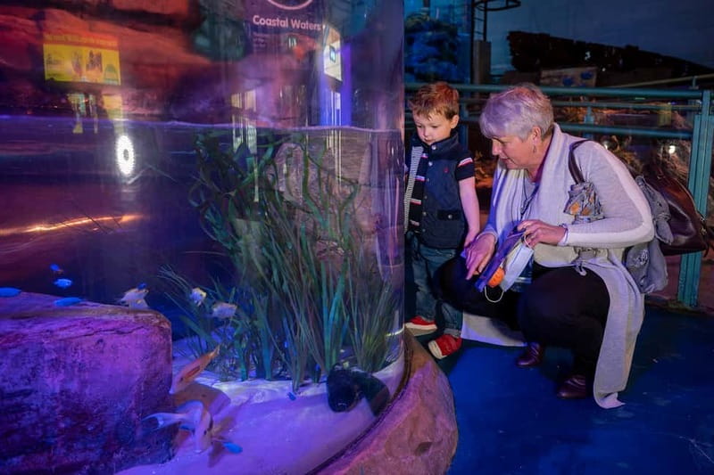 Birmingham: National Sea Life Centre Entrance Ticket - How much time should you allow?